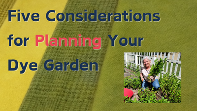 Planning Your Dye Garden